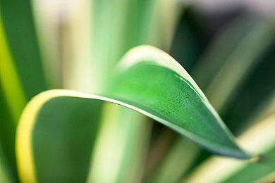 《使命召唤：战区》经典回归地图Verdansk从零用新技术重做